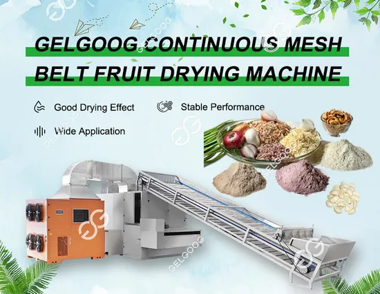 Nastro trasportatore Essiccatore a microonde Nastro trasportatore a microonde Essiccatore per cereali Essiccatore a microonde Forno a microonde Essiccatore a microonde continuo Disidratatore